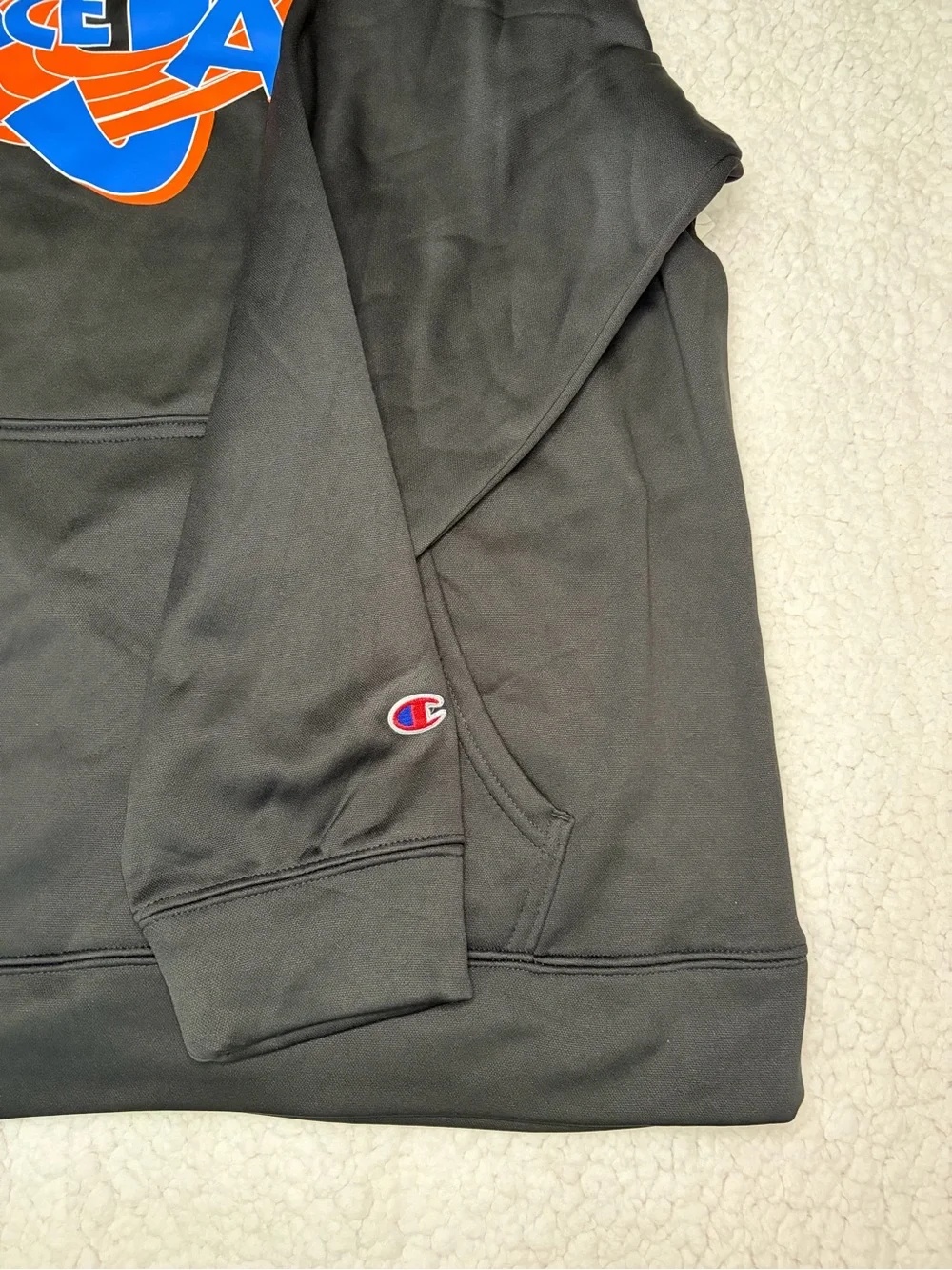 CHAMPION SPACE JAM HOODIE SWEATSHIRT BLACK LARGE
